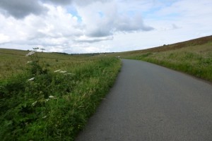 mendip bowl
