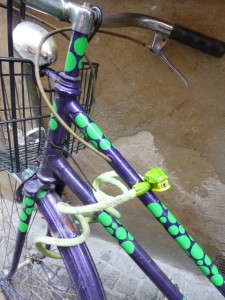 snake lock