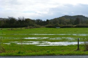 wet fields