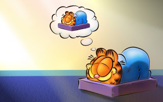 Garfield Sleeping