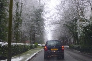 snowy entrance queue