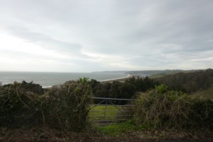 coastal views