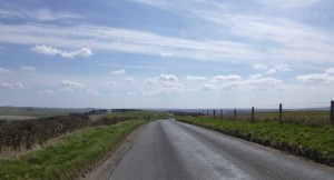 marlborough downs