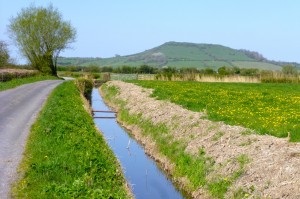 Brent Knoll