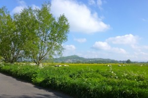 Glastonbury Tor