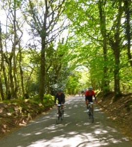 quantock climbers