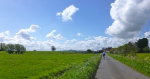 rider in blue and white