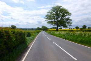 riders in the distance