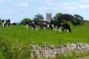 rural idyll