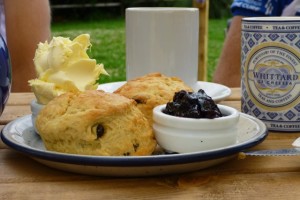 cream tea