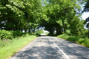 top of the Mendips