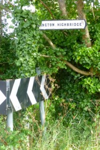 overgrown sign