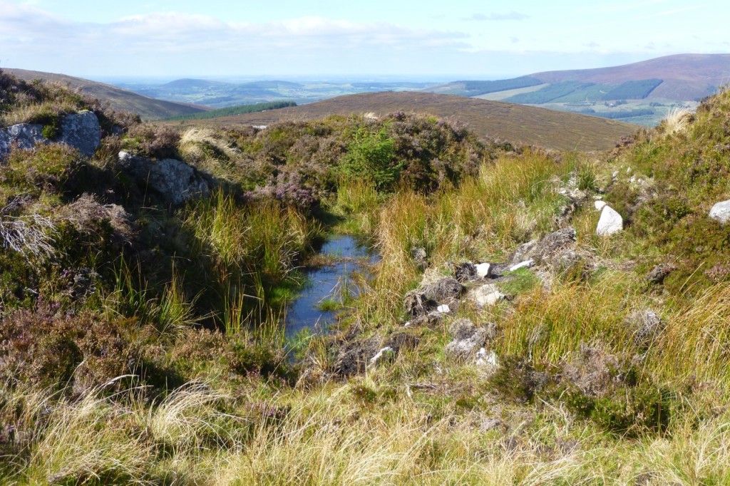 Wicklow Mountains