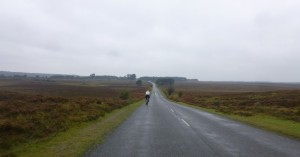 more wet moors