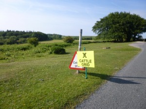 cattle grid sign