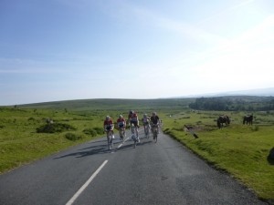 climbing and ponies