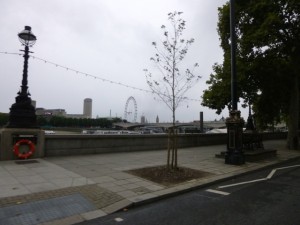 london eye