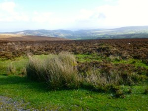 Exmoor view