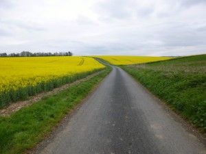 long and yellow