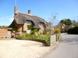 thatched cottage