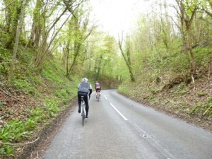 wooded climb