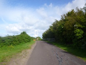 path to the bridge