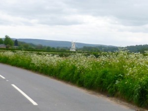 white windmill