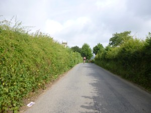 country lanes