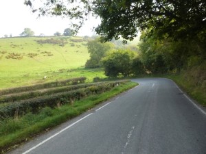 sunny hairpin