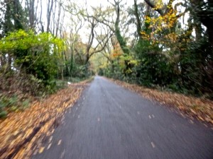 autumn colours fly by