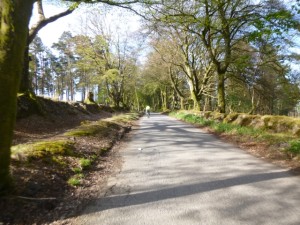 04 heading off through Haldon Forest