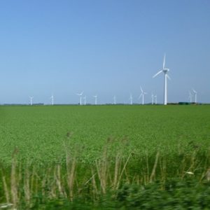 wind farm