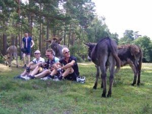 groups of riders