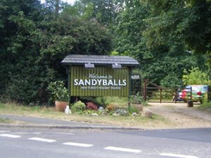 sandyballs