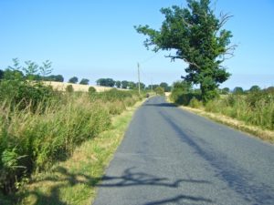 sunny country lanes