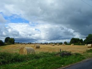 fields-of-rolled-gold