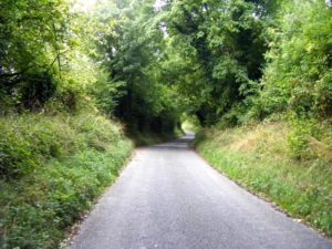 up-a-green-tunnel-hill