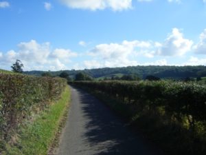 9-narrow-country-lanes